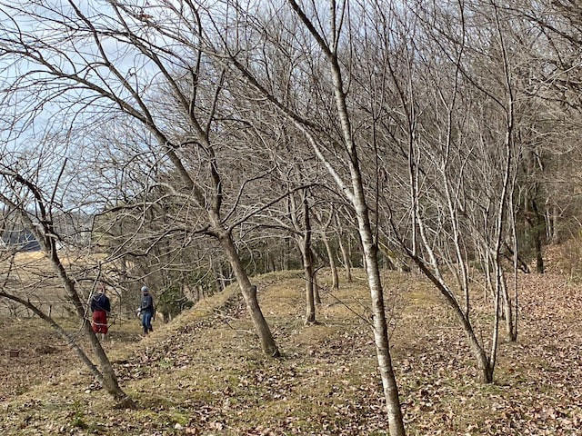 2月　しいたけ菌入れなどなど