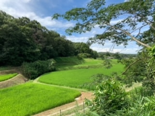 2022年7月30日　初めての農作業